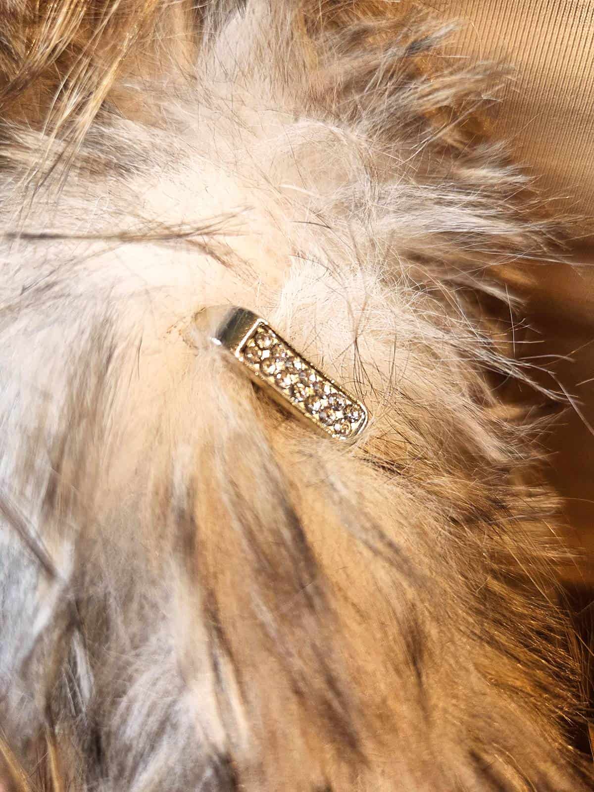 Chic&jeune pels - hasp