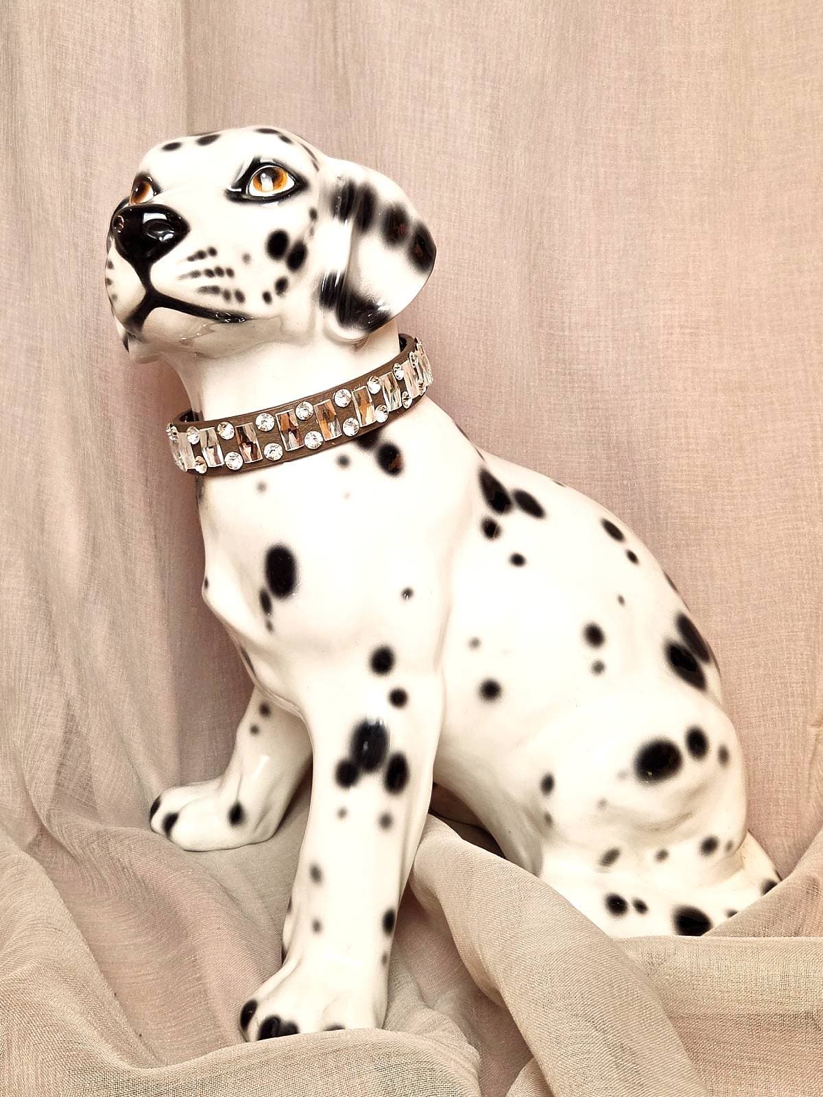 hundehalsbånd brun med similisten, på hund