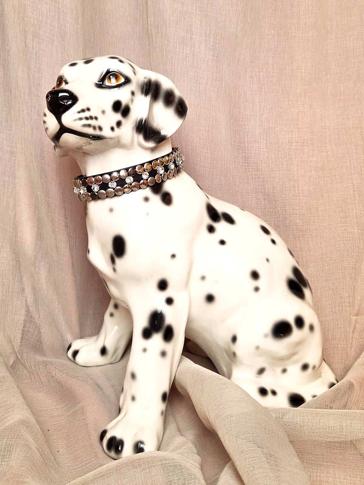 hundehalsbånd sort med similisten og nitter, på hund