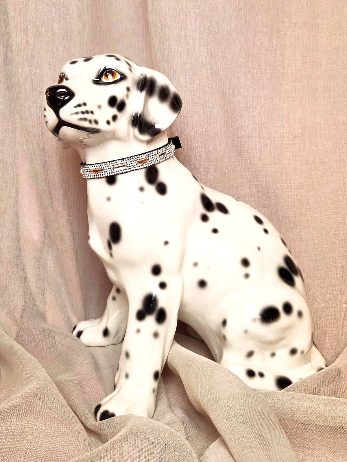 hundehalsbånd sort med similisten, på hund