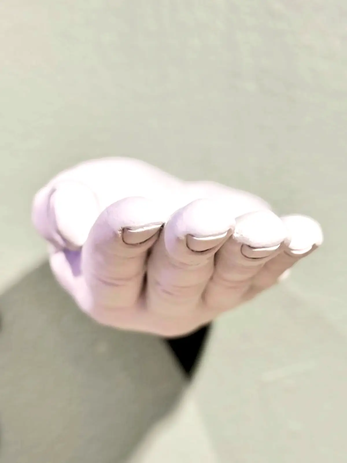 vægkrog hånd palm forfra