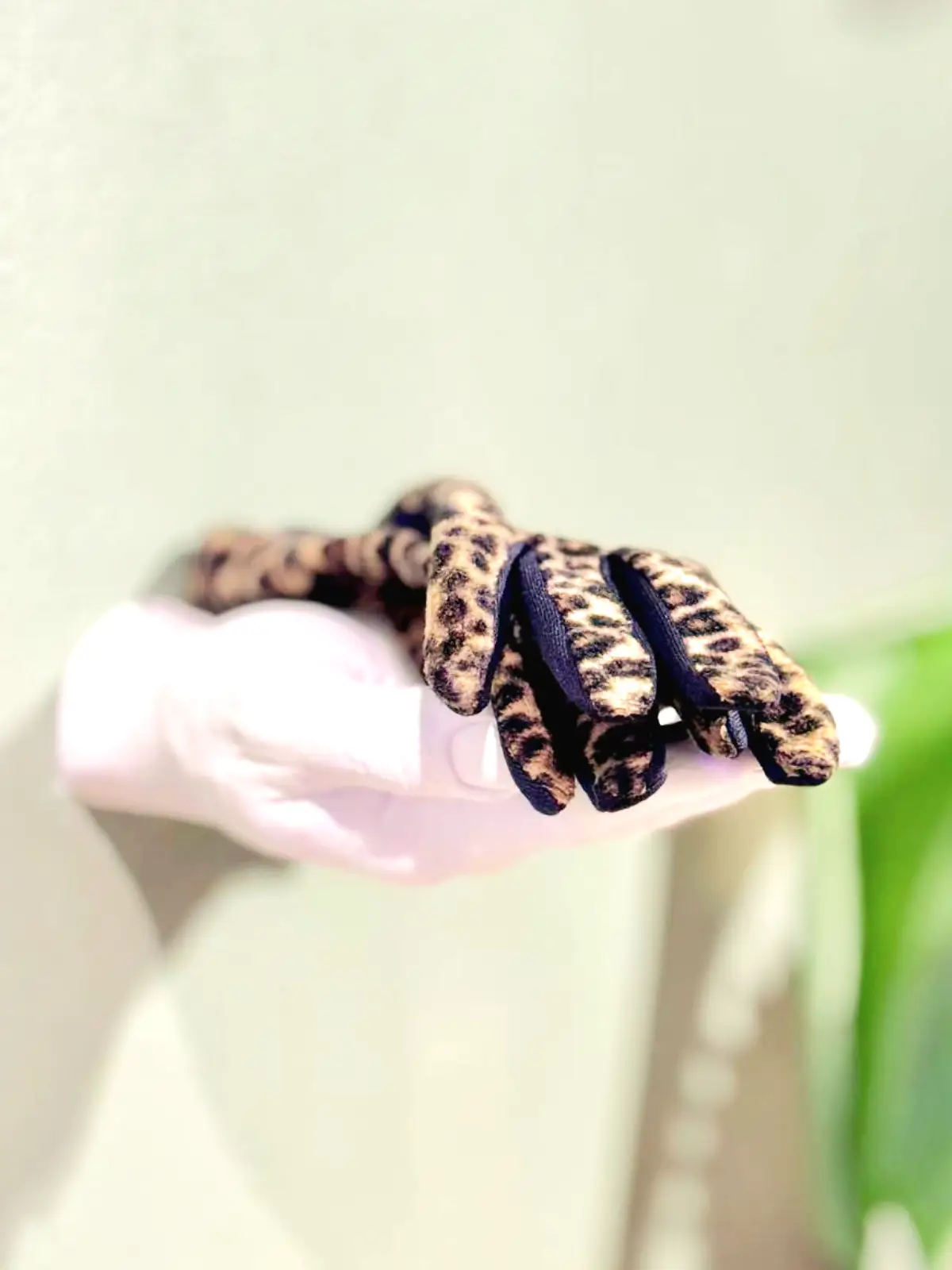 vægkrog hånd palm med handsker