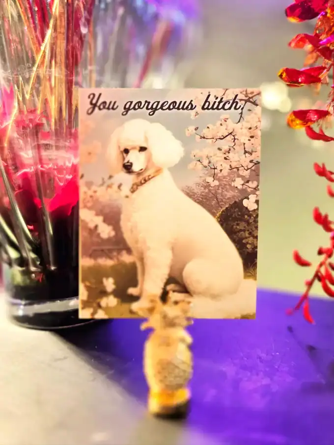 Kortholder med hundemotiv og tekst "You gorgeous bitch" i sølvfarvet design.