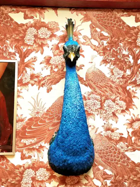 Peacock-figur i blå og guld til dekoration.