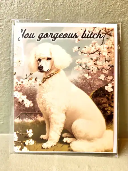 Kortholder med hundemotiv i sølv, perfekt til hundeelskere. Elegant og praktisk til opbevaring af ko.