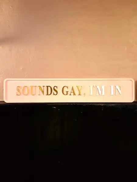 Dekorativt statementskilt med teksten 'SOUNDS GAY, I'M IN'.