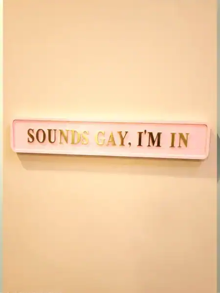 Skilt med teksten 'SOUNDS GAY, I'M IN' i lyserøde nuancer.