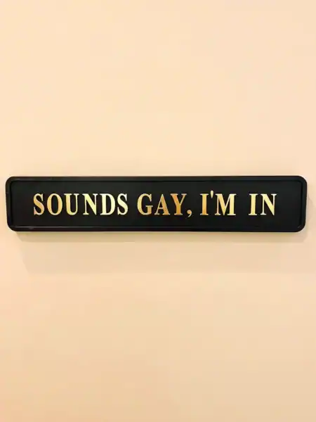 Skilt med teksten SOUNDS GAY, I'M IN i gult på sort baggrund.